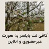 کافی نت بابلسر به صورت غیرحضوری و انلاین